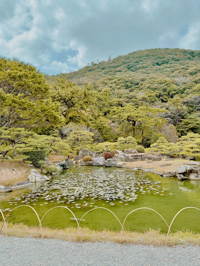 일본에서 자연을 느끼고 싶을 때 추천하는 도시🌳
