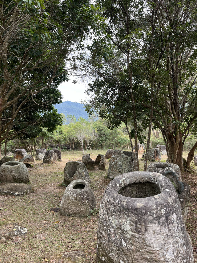 Mystery in the Heart of Laos: The Plain of Jars