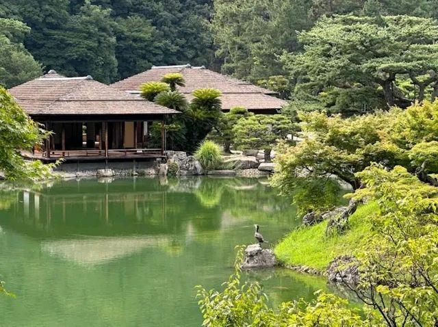 Ritsurin Garden – Tranquility in Every Season