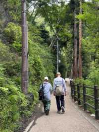 A Peaceful Escape to Minoh park.