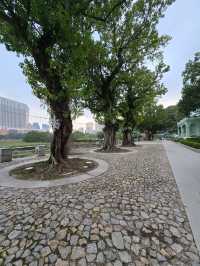 嘉模聖母堂及龍環葡韻