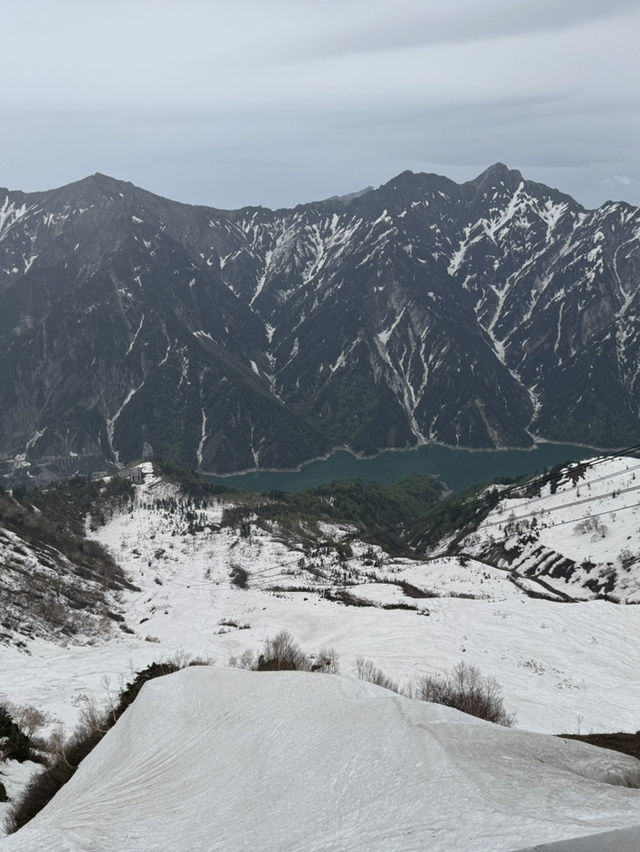 8日7夜 名古屋 立山黑部 飛驒之旅