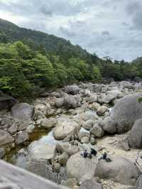 【屋久島】パワーを頂く旅