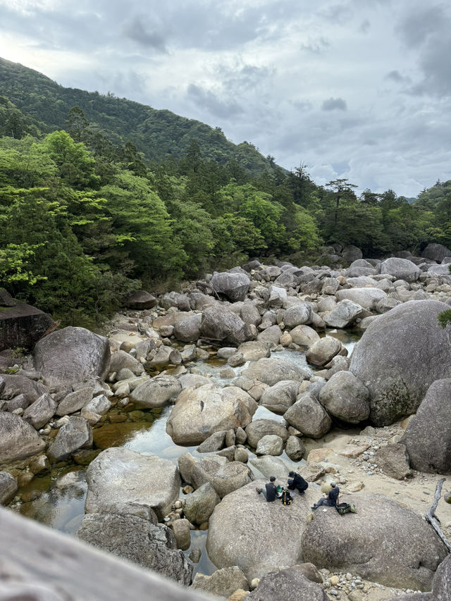 【屋久島】パワーを頂く旅