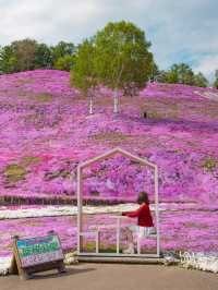 เทศการชิบะซากุระ Higashimokoto Shibazakura Park🌸