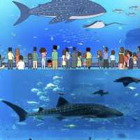 沖繩4天攻略｜來果凍海小村享受幾天慢生活吧🏖️