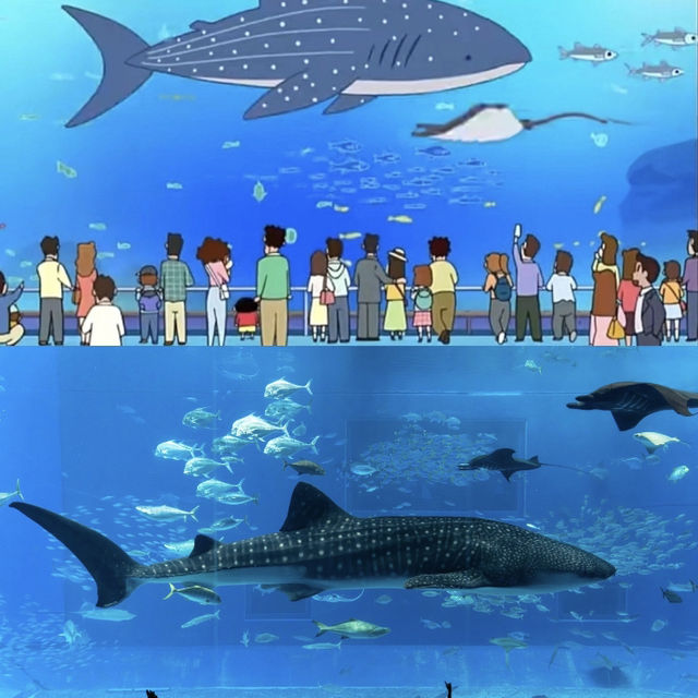 沖繩4天攻略｜來果凍海小村享受幾天慢生活吧🏖️