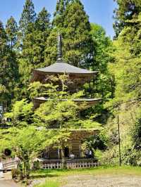 The Jionji Temple