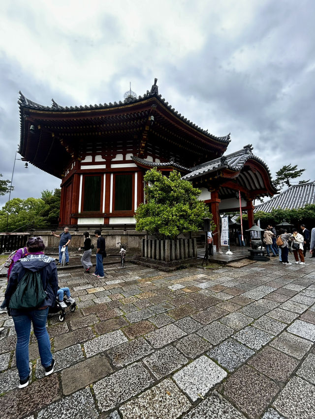 🦌🏯 Kōfuku-ji Temple Weekend Escape: Ancient Wonders & Deer Encounters