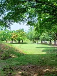 고분의 곡선 따라 마음도 부드러워지는 산책