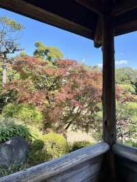 A Slow Day at Sorakuen Garden🌴