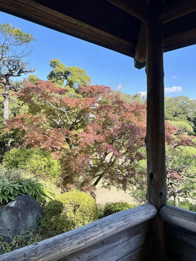 A Slow Day at Sorakuen Garden🌴