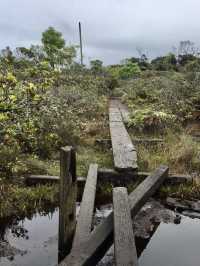 Koke’e State Park – Kauai