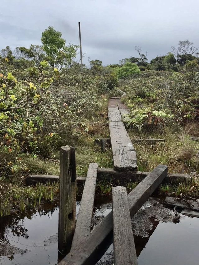 Koke’e State Park – Kauai