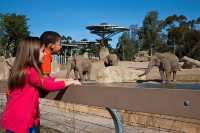 聖地亞哥動物園