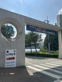🌲 자연과 함께하는 힐링 교육의 장, 충북 산림환경연구소 (미동산수목원)