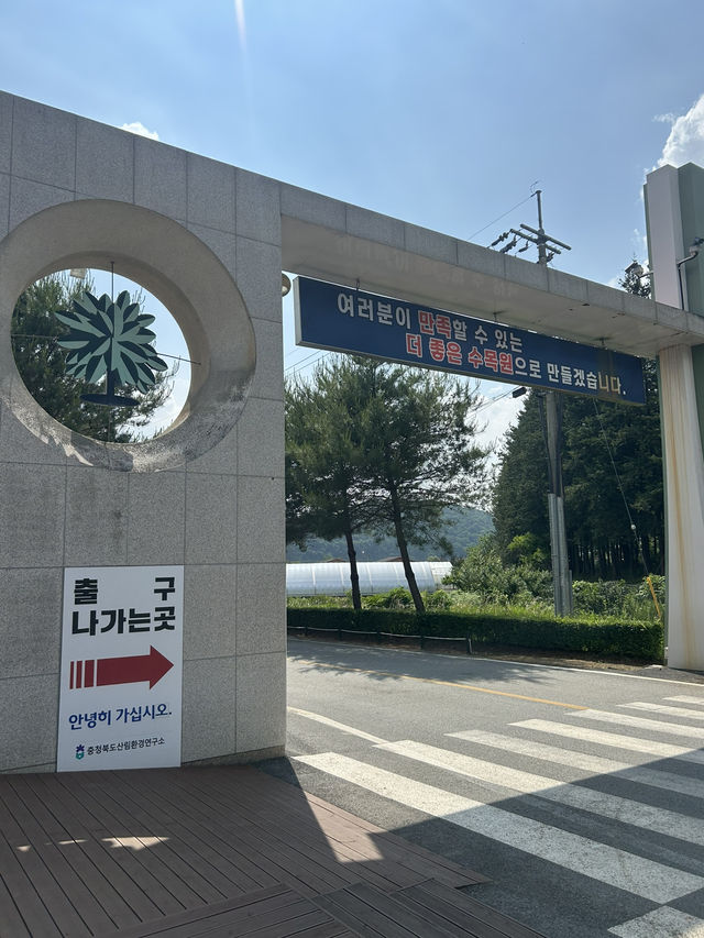🌲 자연과 함께하는 힐링 교육의 장, 충북 산림환경연구소 (미동산수목원)