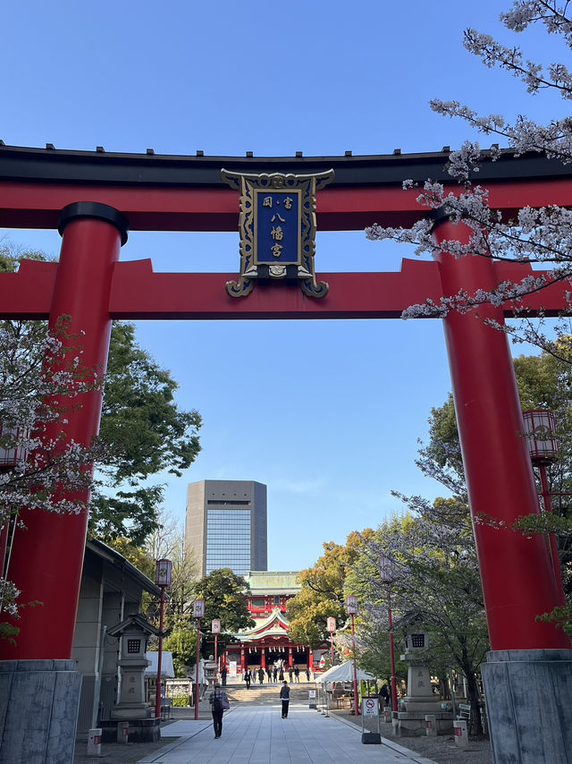 ⛩️**【富岡八幡宮】 江戸の粋とパワーが息づく、深川の誇り** 