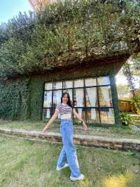 คาเฟ่สุดชิคกลางเชียงใหม่ “Chic2465” 