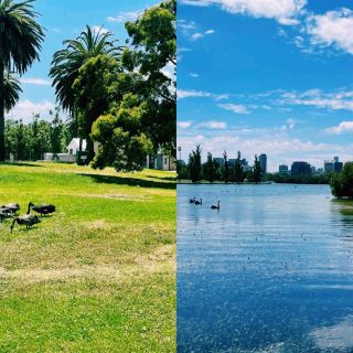 Albert Park Lake, Melbourne – A nature walk in the heart of the city, and its leisure