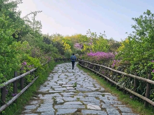 A Day in Nature's Backyard