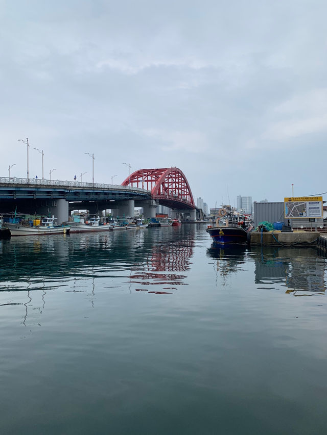 🚤 속초 바다를 품은 감성 카페