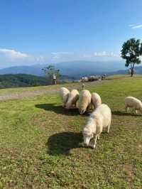 Akha Farmville