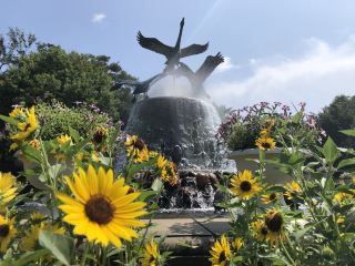 Enjoy a full day of nature and a fairy tale world with your family.