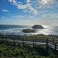 Phillip Island Nature Parks – VIC