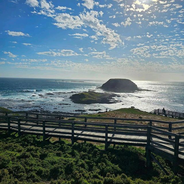 Phillip Island Nature Parks – VIC