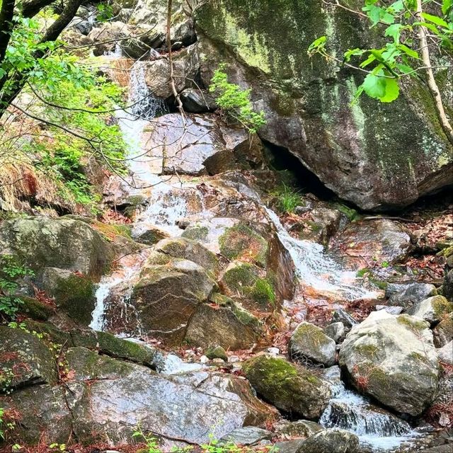 Short Hike, Sweet Views
