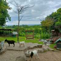Bonanza Exotic park