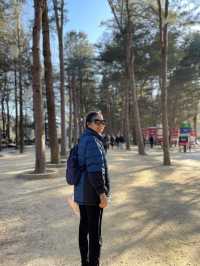 南怡島冬日戀歌：雪白世界裡的浪漫漫遊