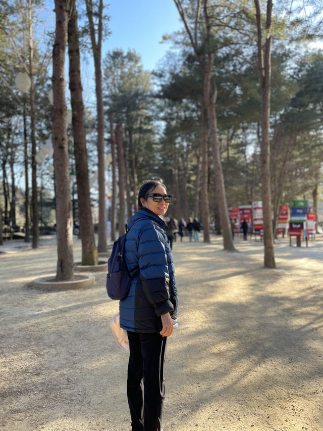 南怡島冬日戀歌：雪白世界裡的浪漫漫遊