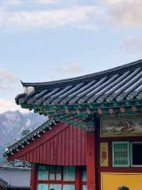 [설악산 여행기] 걷는 것만으로도 위로가 되는 시간, 설악산🌲