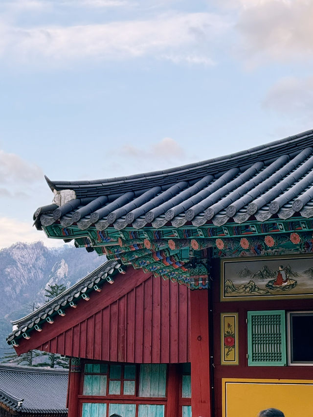 [설악산 여행기] 걷는 것만으로도 위로가 되는 시간, 설악산🌲