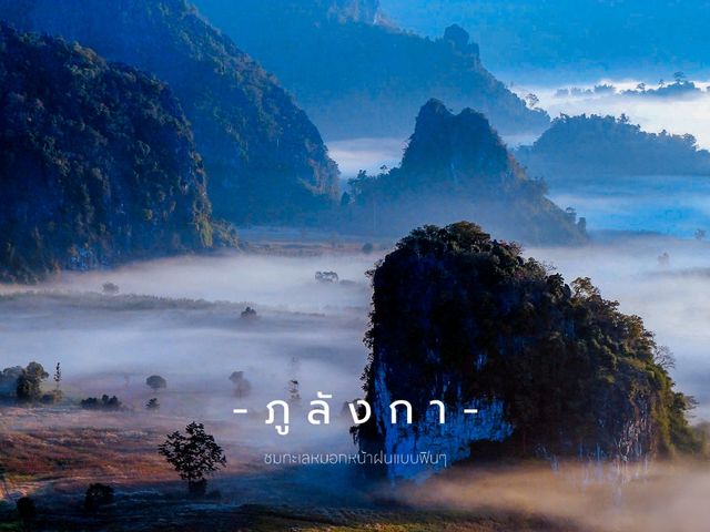 ภูลังกา : ฟินกับทะเลหมอกหน้าฝน 🌧️
