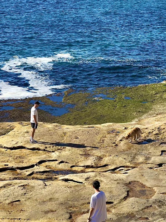 ออสเตรเลีย🇦🇺