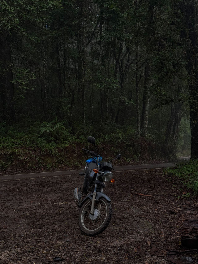 ขับรถเที่ยวดอยปุย จ.เชียงใหม่ ⛰️🌧️🌳🏍️