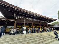 ⛩️ Shrine Among the Trees: Meiji Jingu’s Beauty Meets Tokyo’s Buzz 🌲