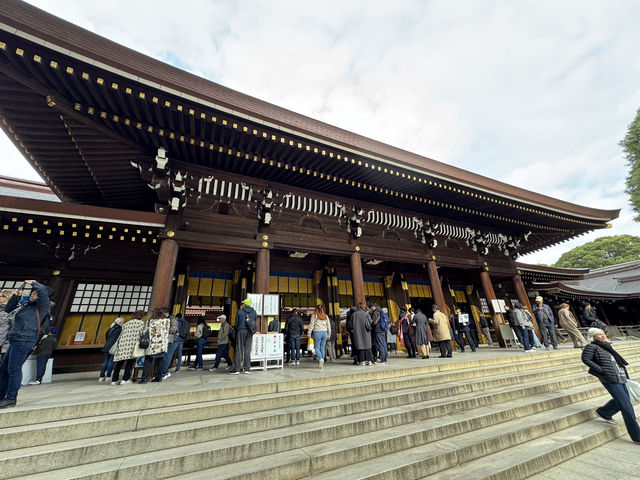 ⛩️ Shrine Among the Trees: Meiji Jingu’s Beauty Meets Tokyo’s Buzz 🌲