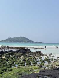 🌊 제주도 바다 여행기