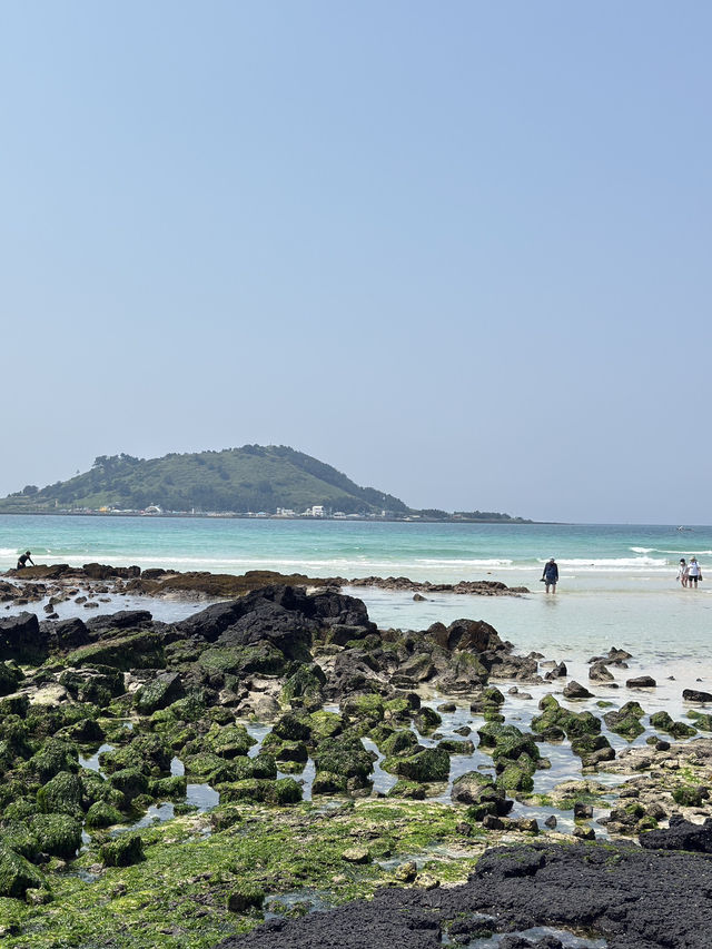 🌊 제주도 바다 여행기