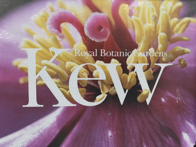 英國皇家植物園邱園