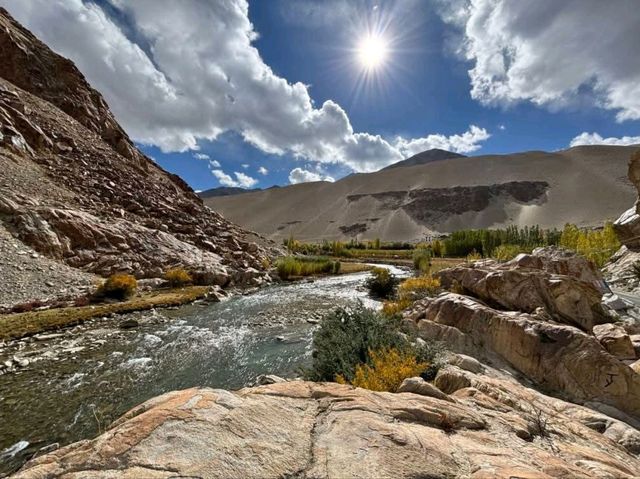 Srinagar - Ladakah - Khardungla -Nubra -Pangong 