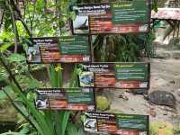 Farm In The City KL – A Fun and Hands-On Experience for the Whole Family