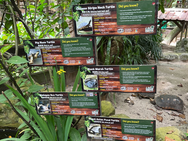 Farm In The City KL – A Fun and Hands-On Experience for the Whole Family