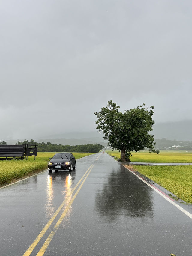 台东自驾景點推薦｜瑞穗牧場也有北海道感？】暴雨中拜訪瑞穗牧場，竟意外療癒