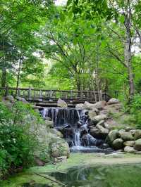 🌳Prospect Park 遊記｜布魯克林人的中央公園