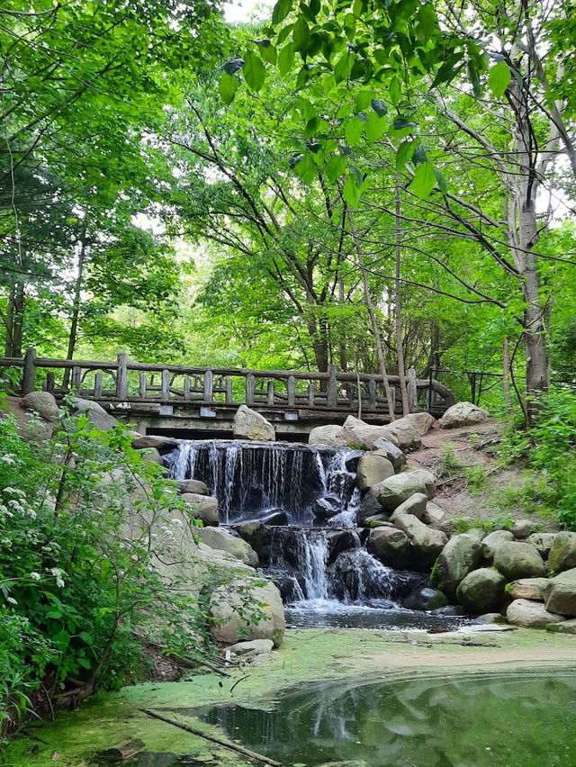 🌳Prospect Park 遊記｜布魯克林人的中央公園